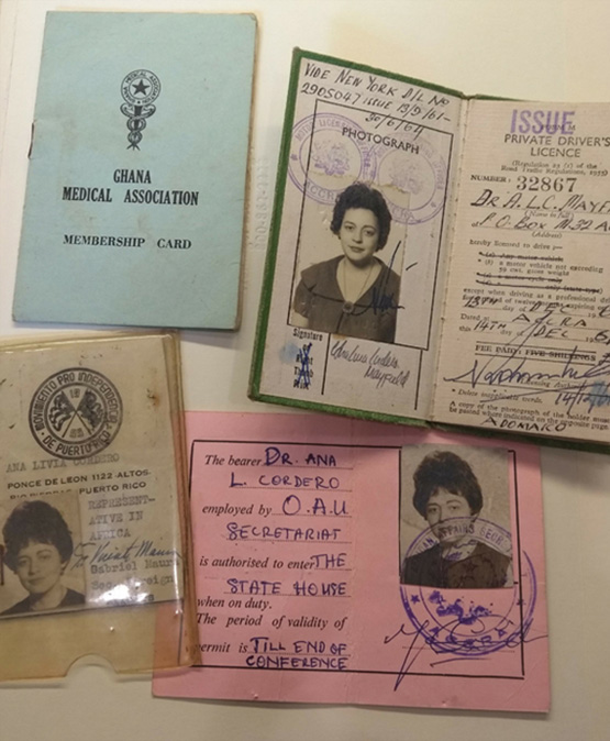 Women’s transnational activism and Cold War imaginaries of citizenship